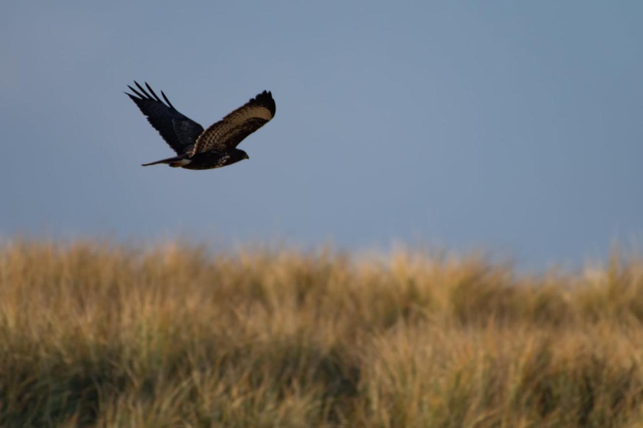 Appartement Seabird Zandvoort Buitenkant foto