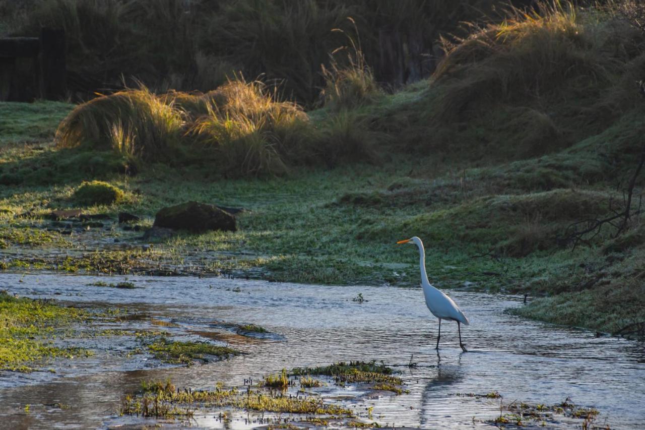 Appartement Seabird Zandvoort Buitenkant foto